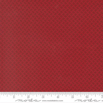Joyful Gatherings II 49330 13 One Yard PREORDER ($14.49/yard)