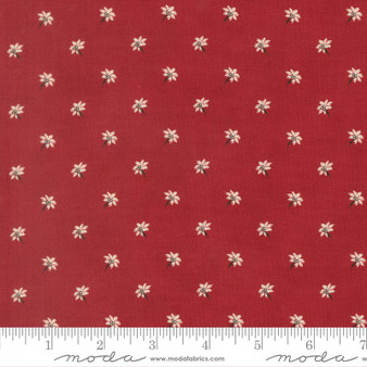 Joyful Gatherings II 49332 13 One Yard PREORDER ($14.49/yard)