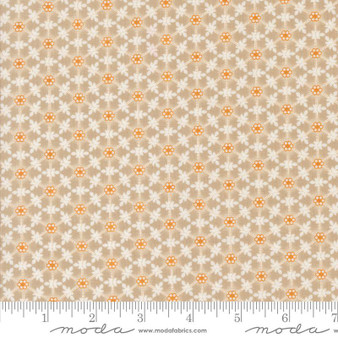 Agatha Road 35413 13 One Yard