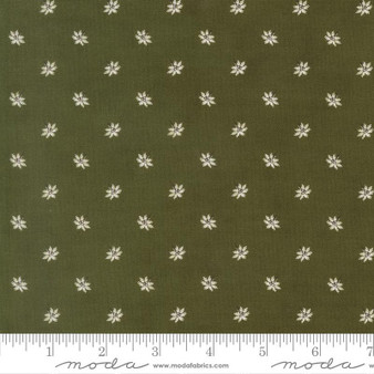 Joyful Gatherings II 49332 14 One Yard PREORDER ($14.49/yard)