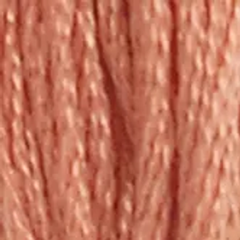 DMC Embroidery Floss 8M 117-21 Light Alizarin